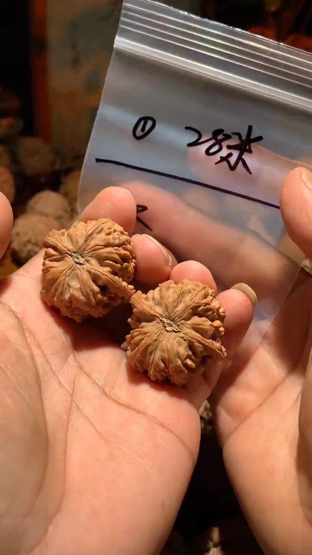 把件桃核丰泰文玩  野生龙珠35 尺左右