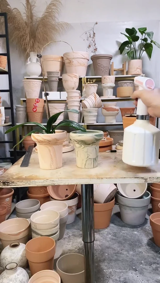 13*13蘑菇双色组合 2盆无托