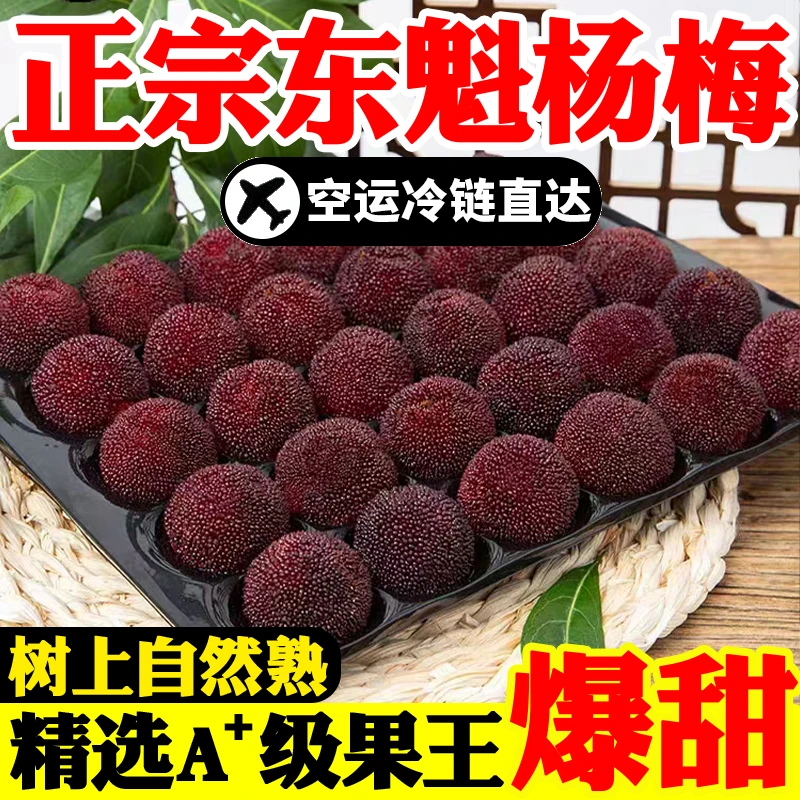 9A正宗18-22g仙居东魁杨梅现摘现发当季孕妇水果新鲜采摘顺丰空运