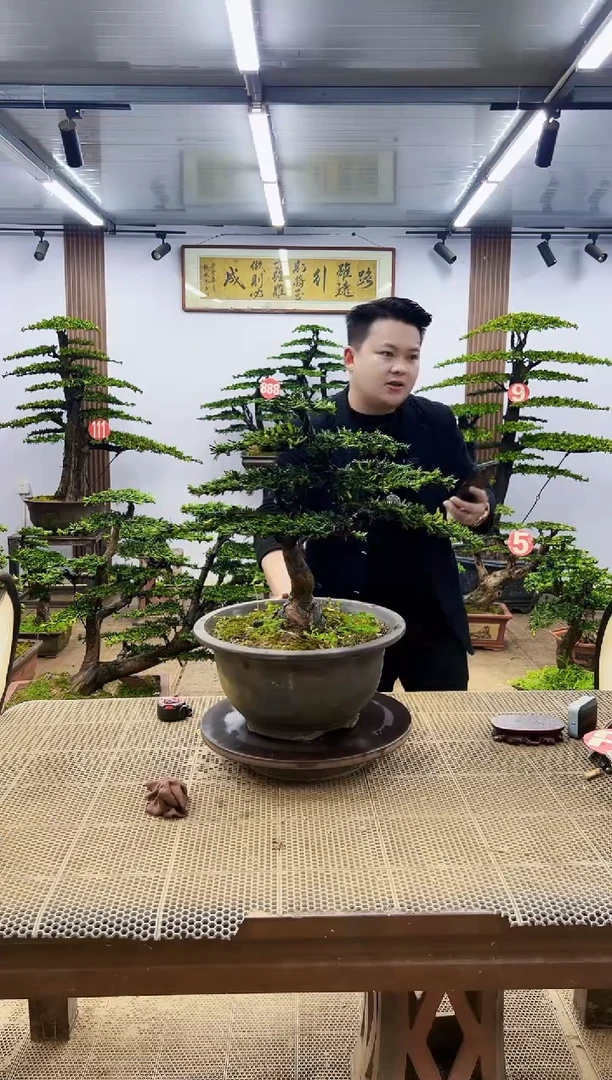 无花朵一物一拍，所见即所得