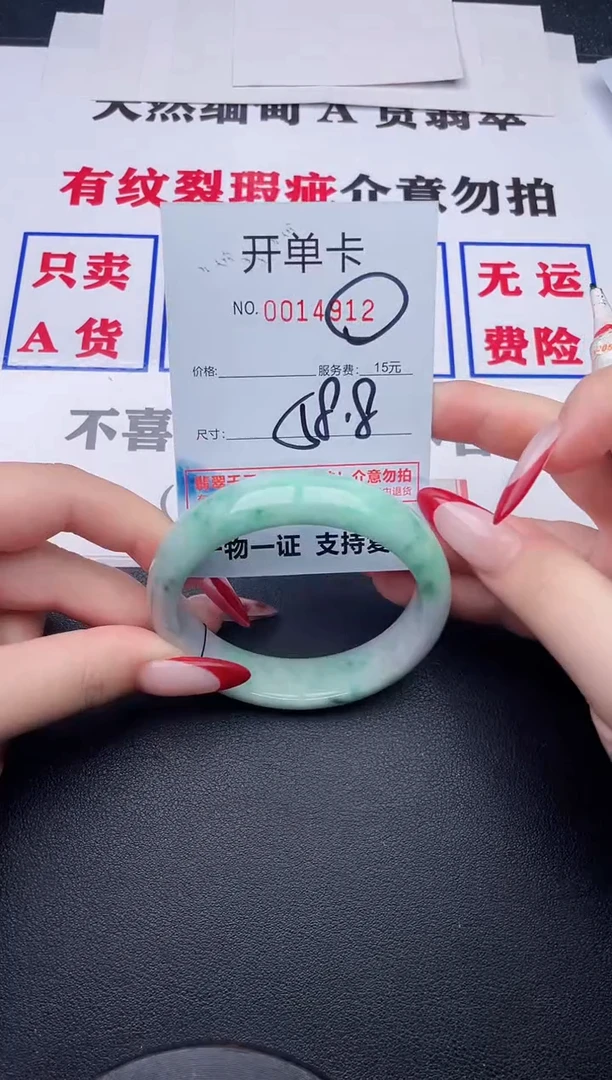 未镶嵌手镯翡翠12