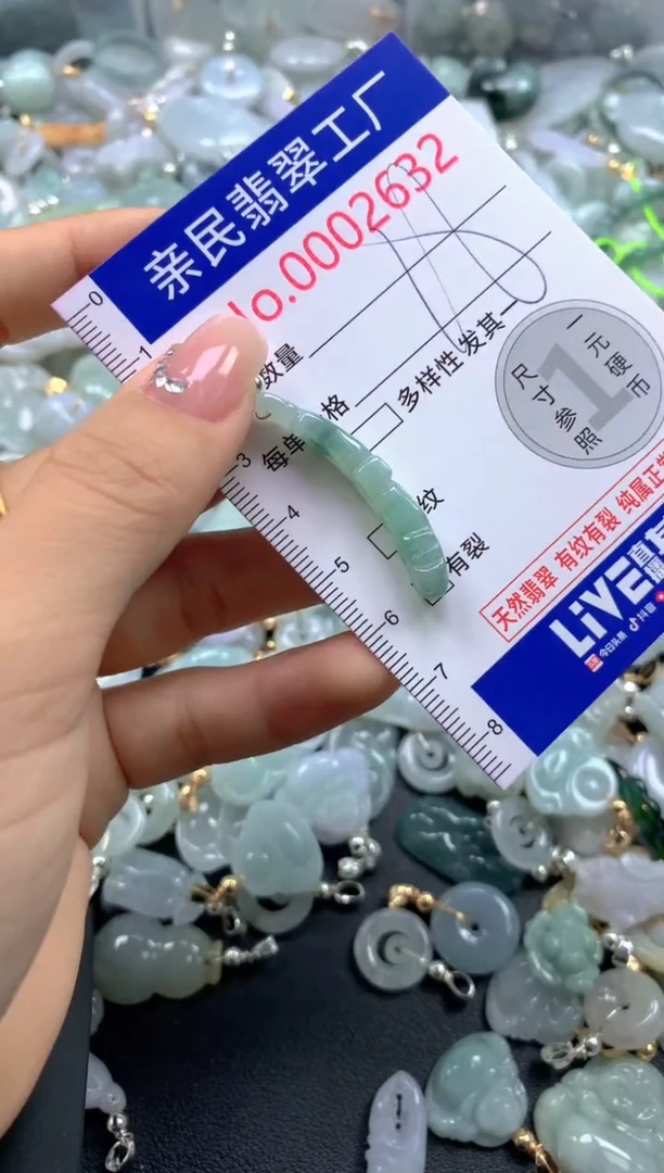 颈饰未镶嵌翡翠2632