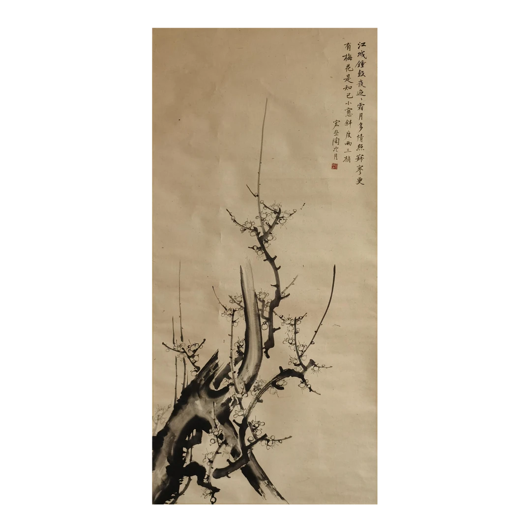 【辽拍】陶先生-梅花（5.1平尺）V240604-4-21