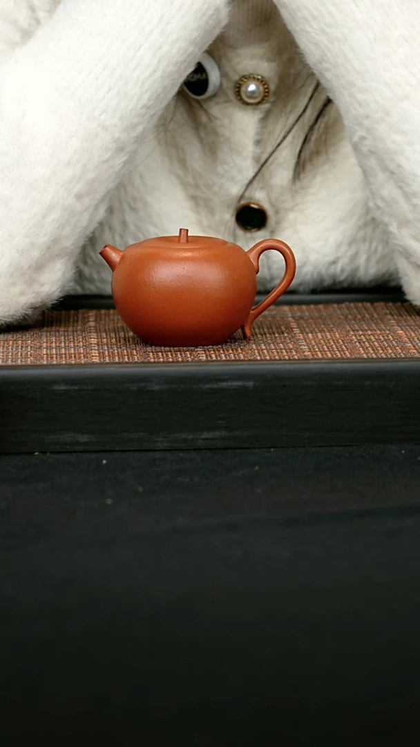 【闪购商品】小红泥 一物见春制