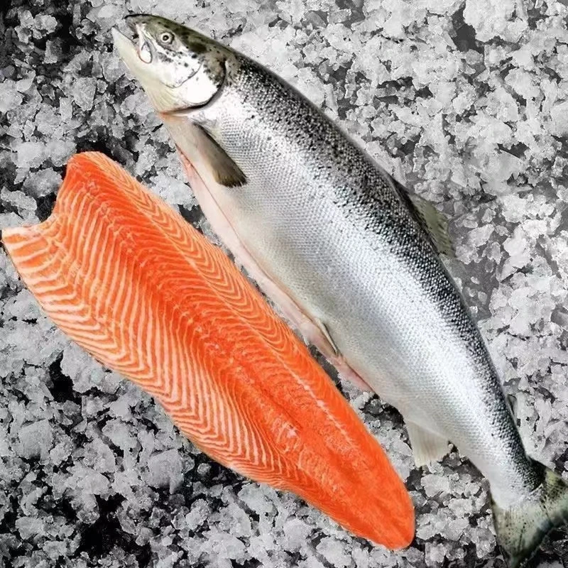 【挪威整条】现称三文鱼新鲜8-10斤左右