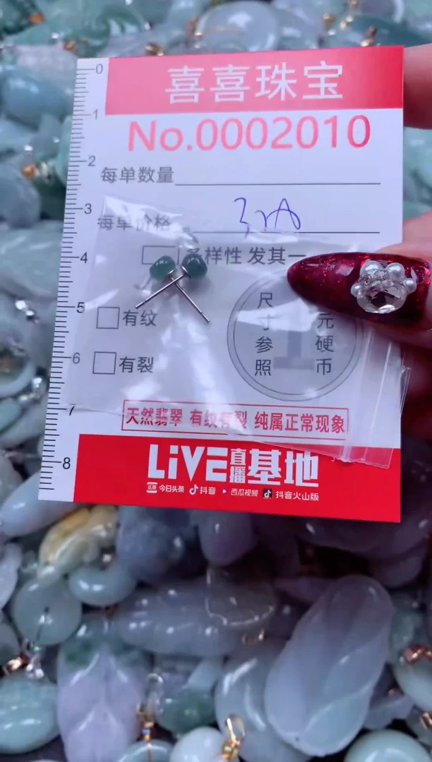 颈饰未镶嵌翡翠2010