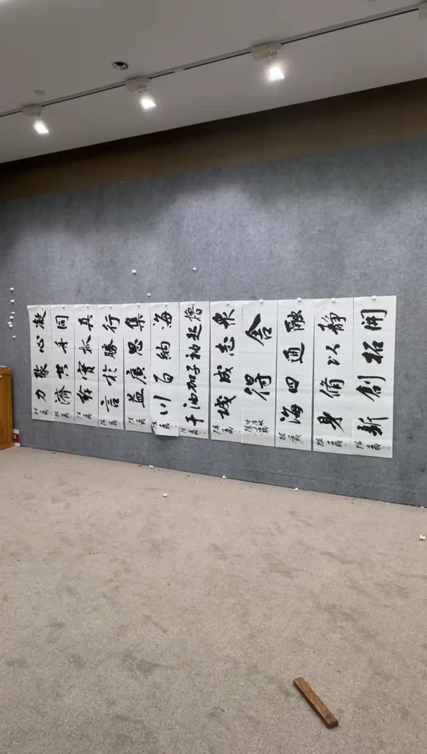 【闪购商品】书法pmw不二轩旗舰店书法CAZ2