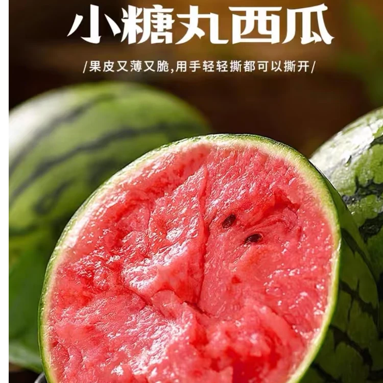头茬手掰小糖丸小吊西瓜