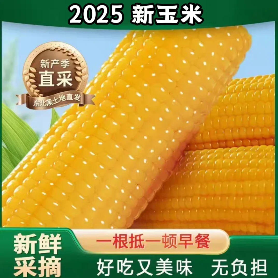 【试吃4根整箱15根】东北黄糯玉米真空锁鲜产地直发整箱8斤左右