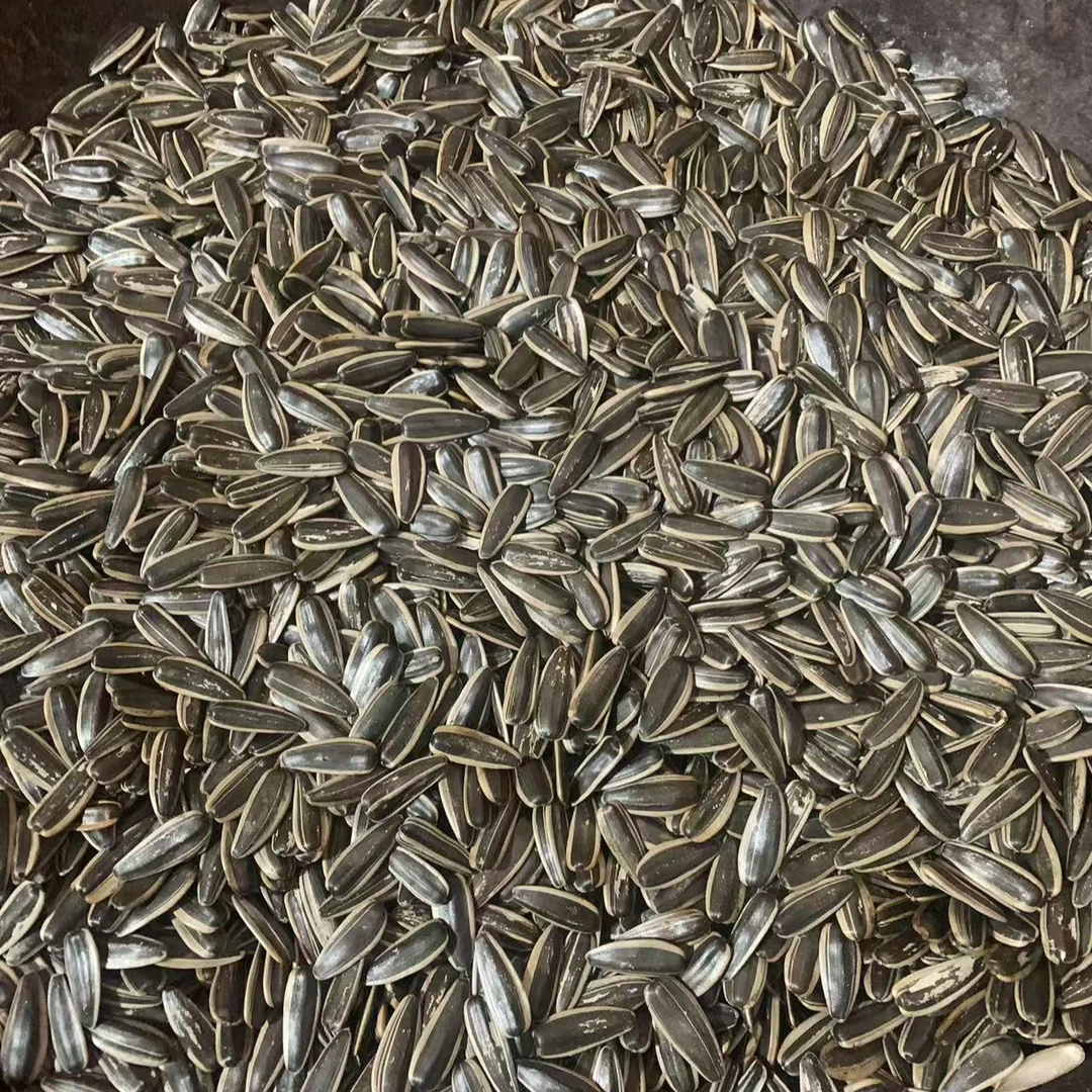 主播福利试吃体验年货瓜子炒货大果颗颗饱满原味干炒小时候的味道