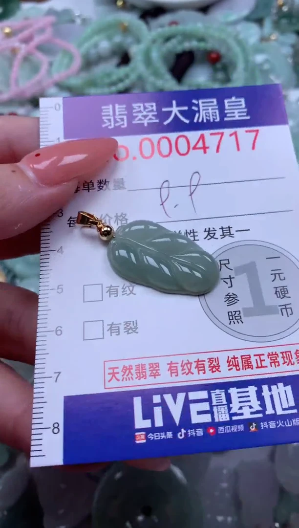 翡翠未镶嵌吊坠(不含链)4717