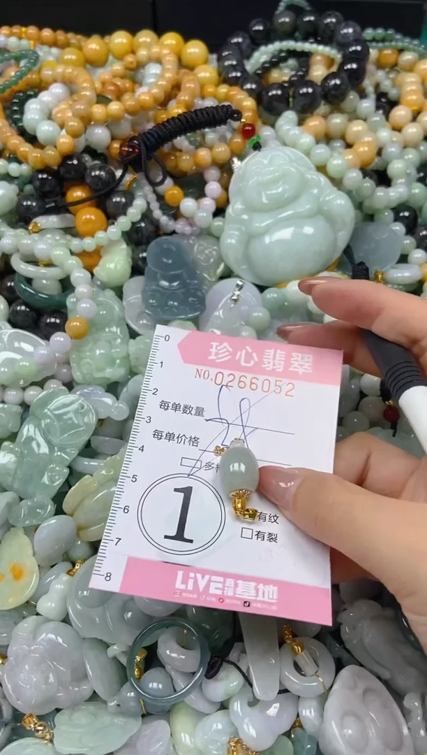 翡翠未镶嵌颈饰闪购0266052