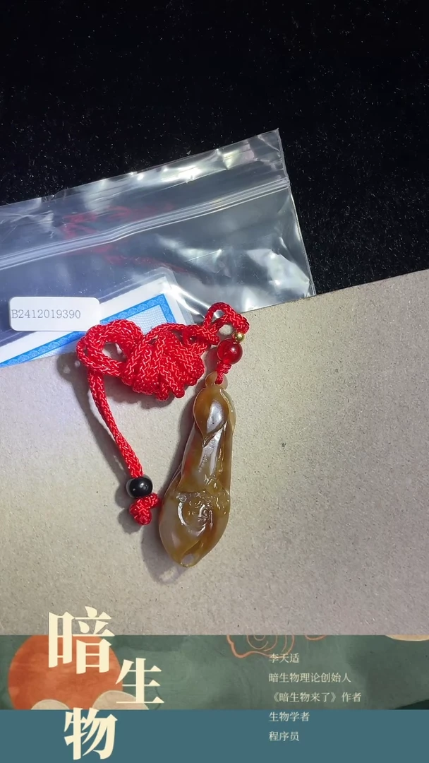 【闪购商品】和田玉吊坠(赠链)未镶嵌糖玉兰