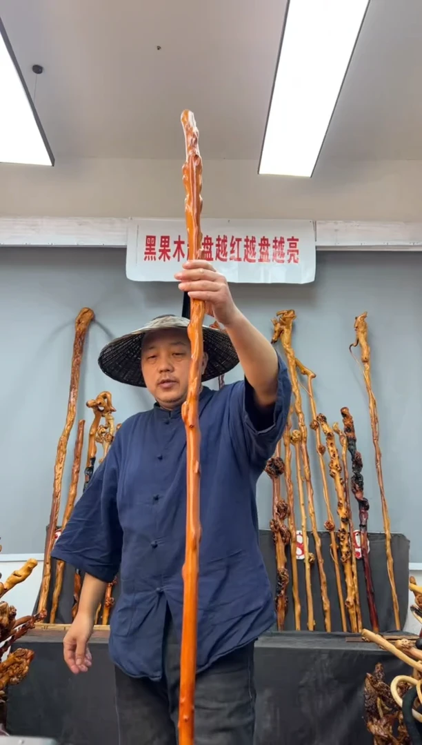 【闪购商品】黑果木其他黑果木040