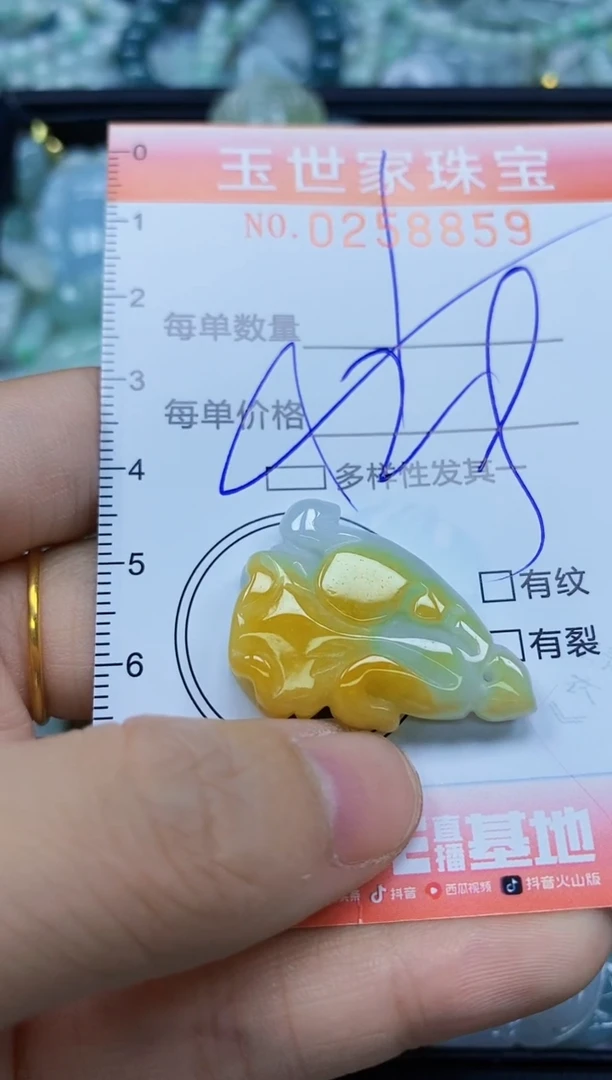 翡翠未镶嵌颈饰闪购0258859多样性发其一