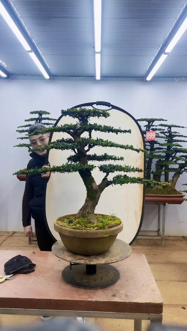 【闪购商品】一物一拍，所见即所得