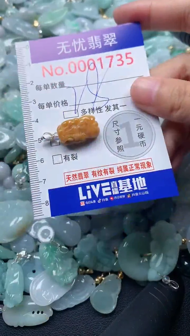 颈饰未镶嵌翡翠1735