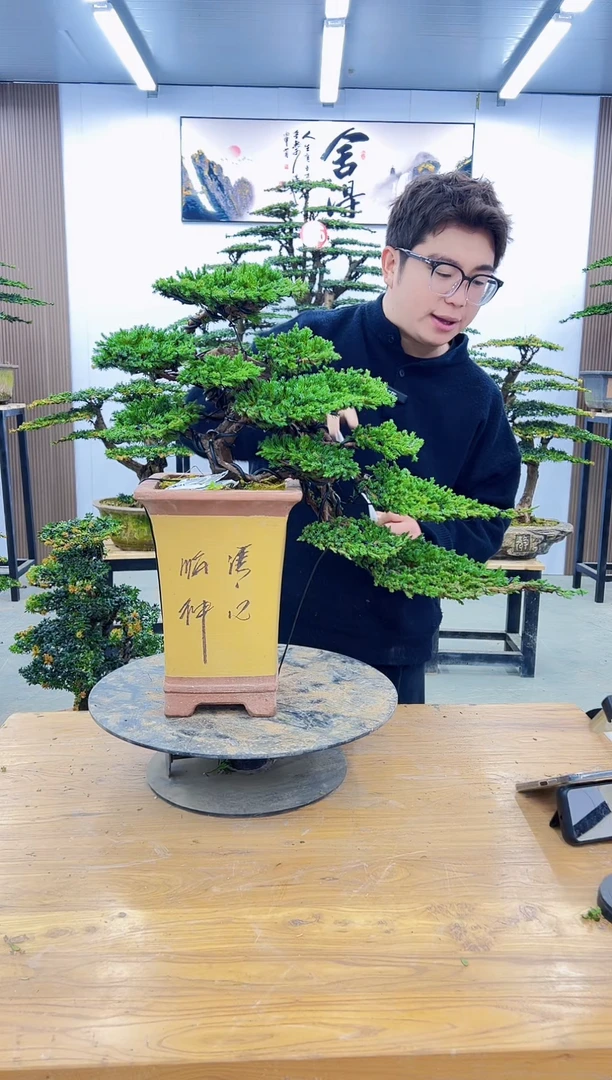 以实际为准00000000