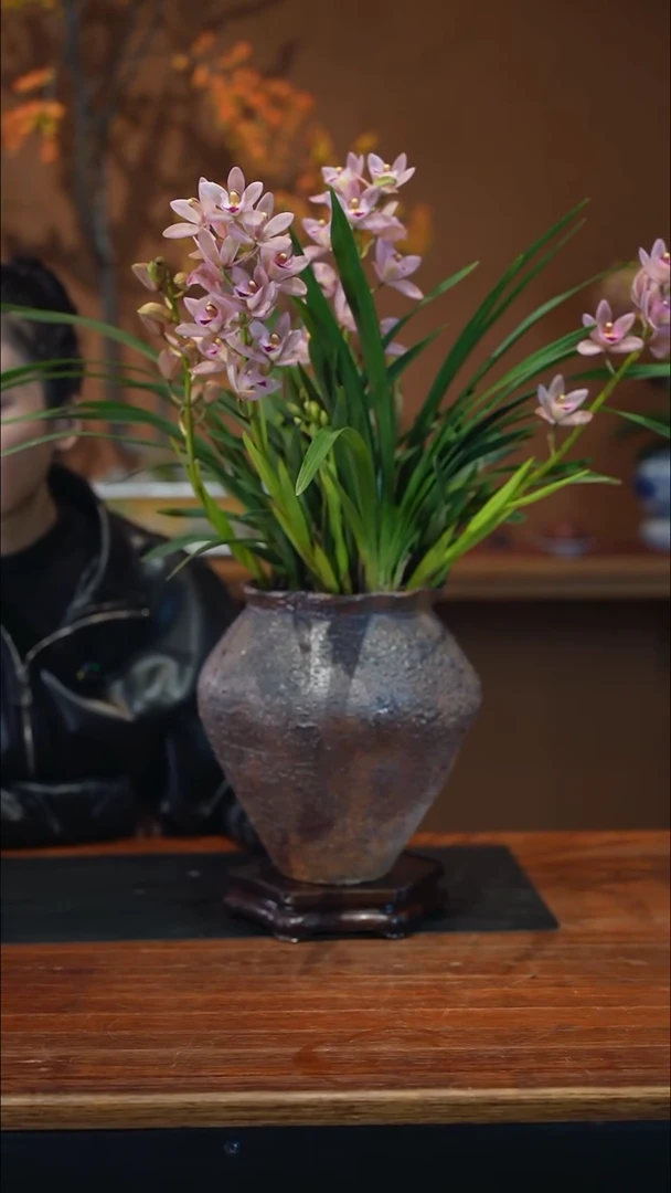 全部花朵樱花盆景盆景盆景