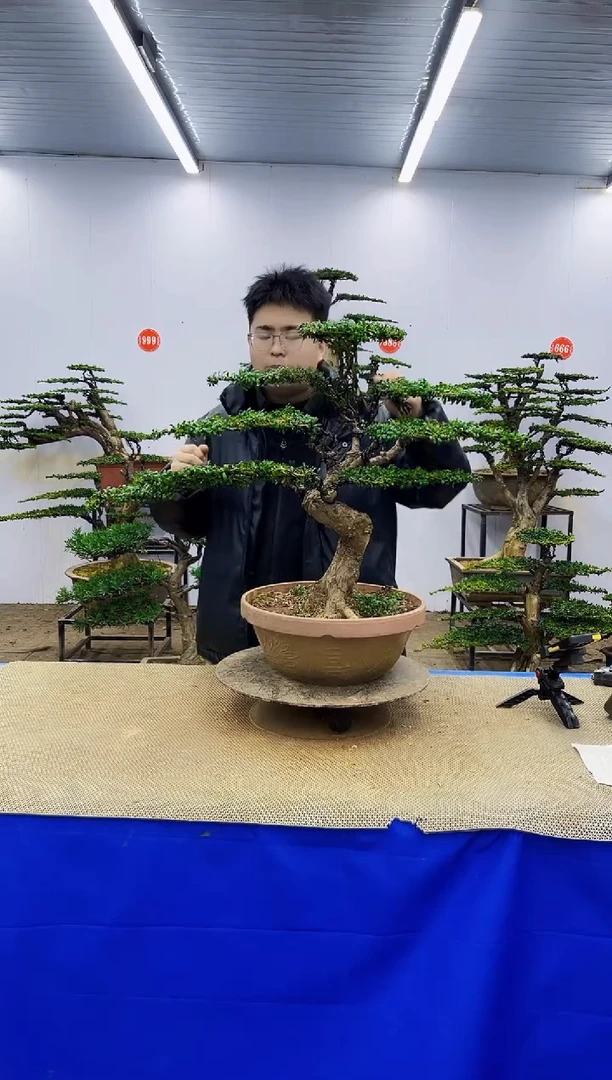 完全开放一物一拍，所见即所得