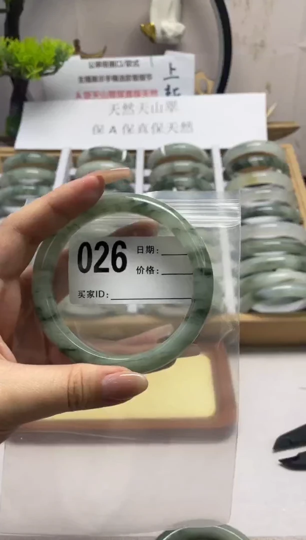 石英质玉（天山翠）手镯未镶嵌026
