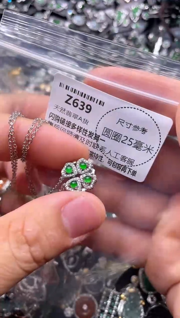 翡翠未镶嵌颈饰Z639项链