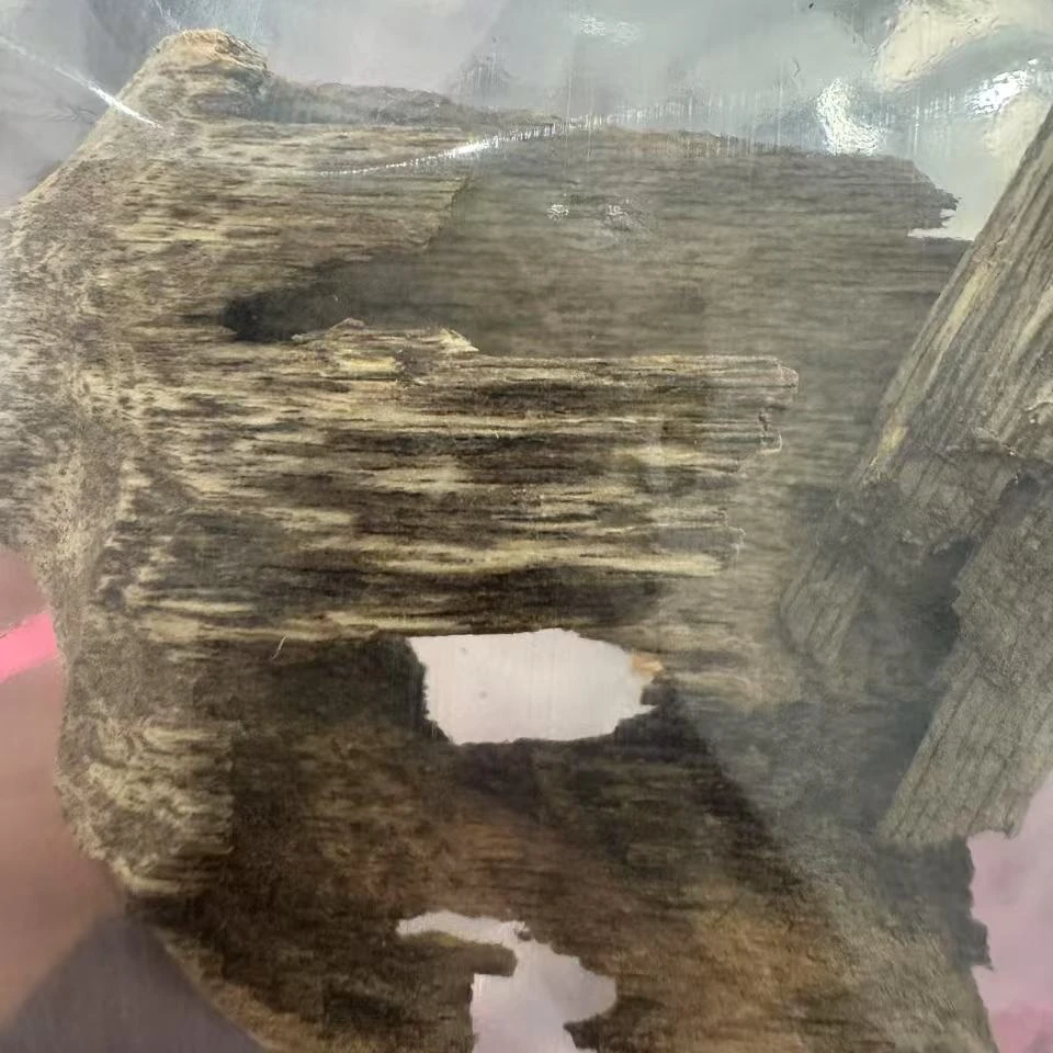 司香尉 越南芽庄沉香