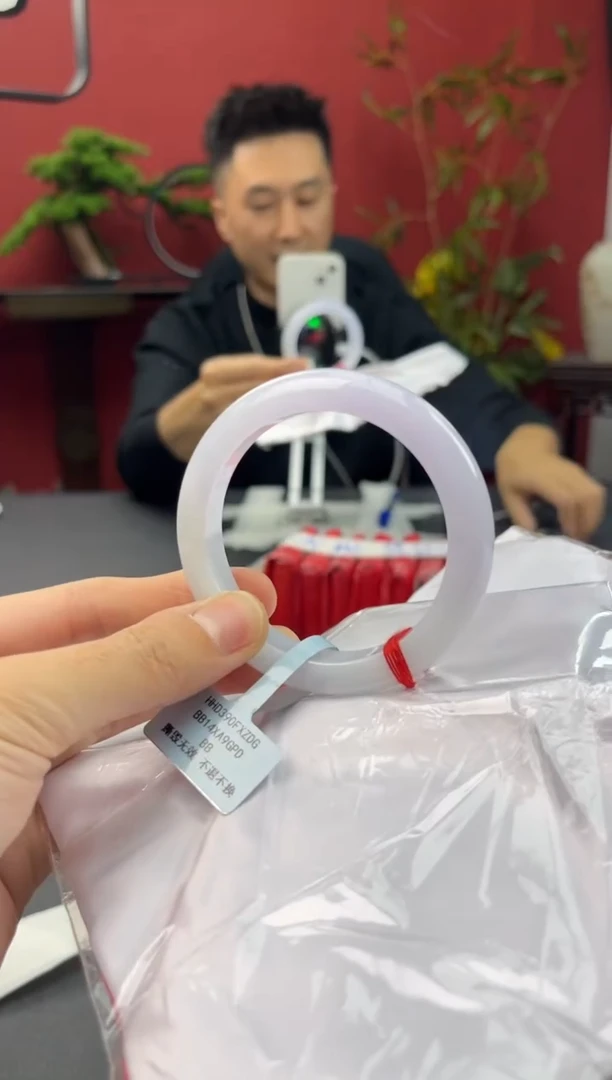 未镶嵌手镯翡翠4