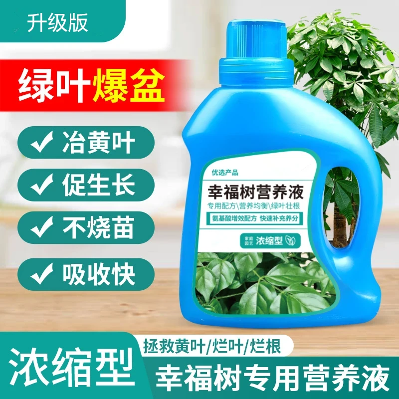 【优惠】幸福树浓缩营养液绿植花卉专用植物肥料观叶叶面肥通用