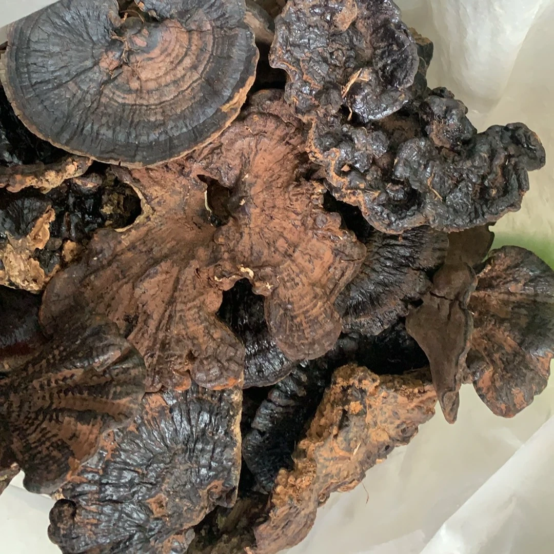 黑灵之整枝干货包邮到村