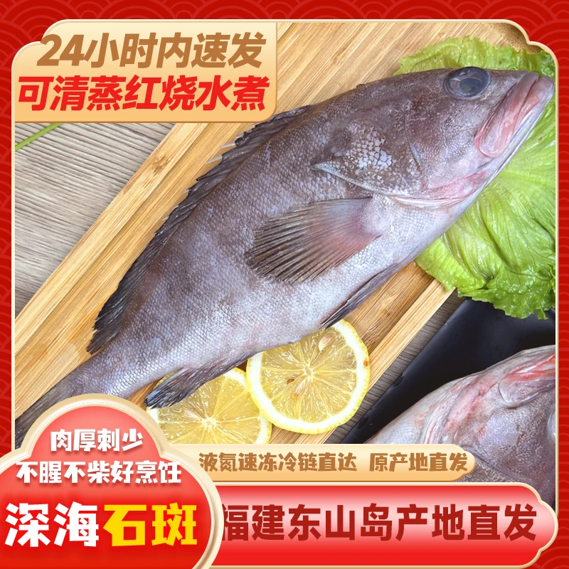 海捕深海石斑鱼 福建东山岛直发蒜瓣状肉质Q弹厚实无杂刺速冻发货