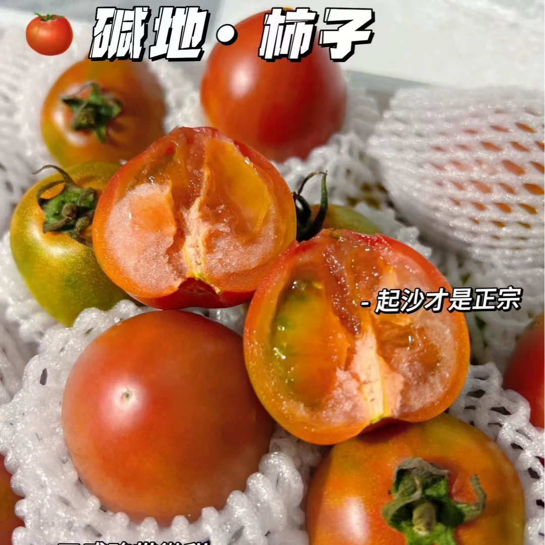 【坏果包赔】龙甜果碱地铁皮柿子一箱6小盒