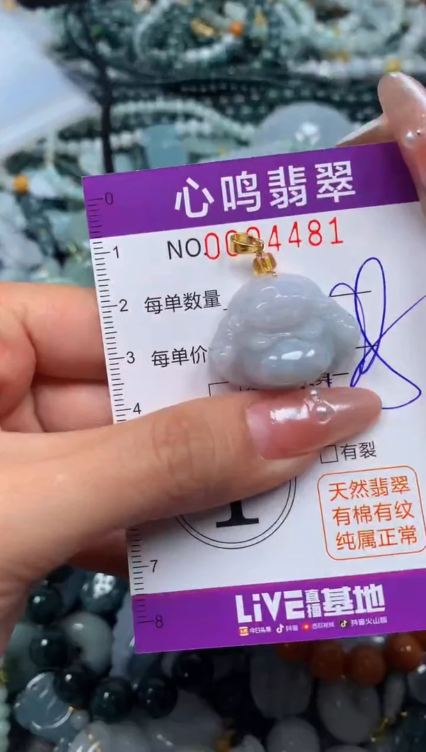 颈饰未镶嵌翡翠闪购004481
