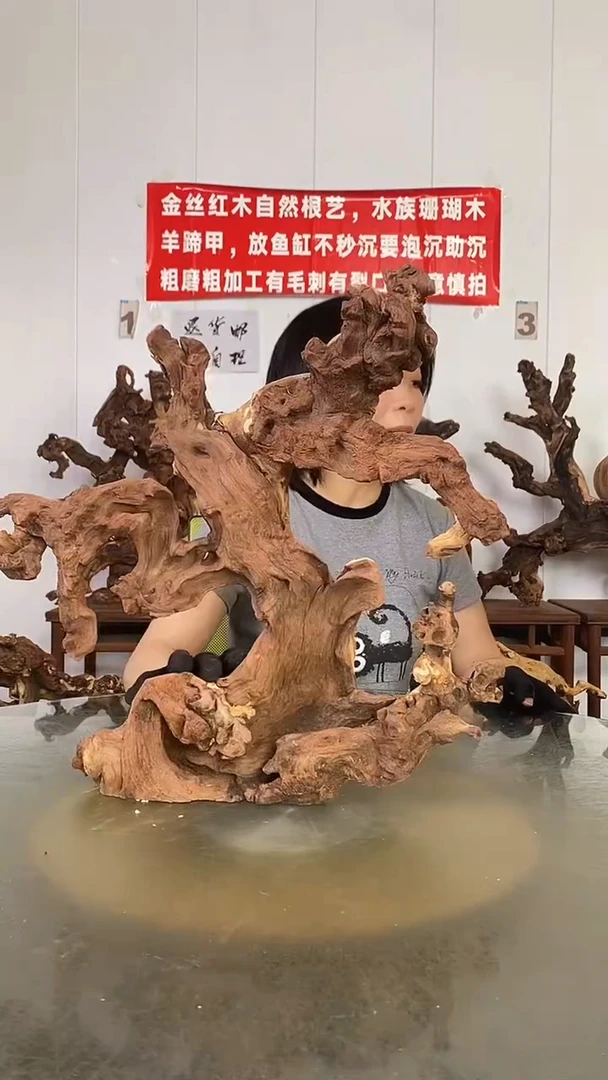 香榧木幽*金丝红木   羊蹄甲