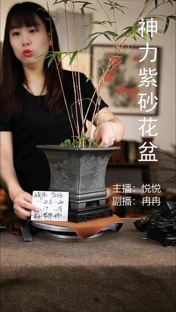 紫砂花盆紫砂花盆9263+s