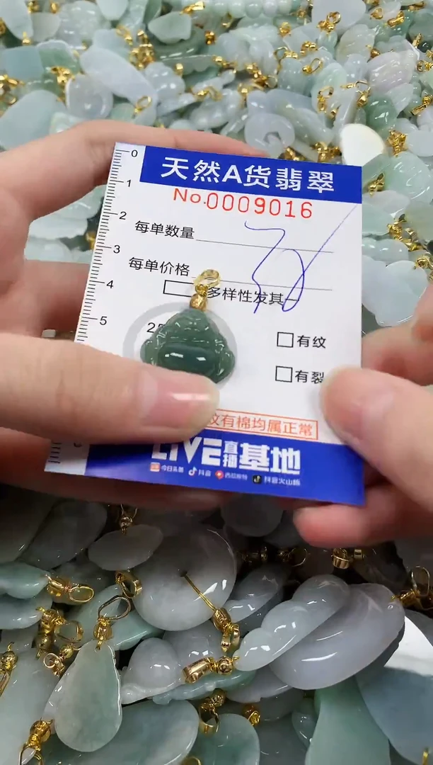 颈饰未镶嵌翡翠纯天然a货翡翠