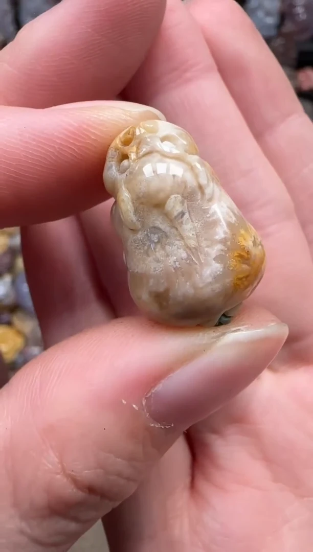 颈饰未镶嵌硅化珊瑚（珊瑚玉）543