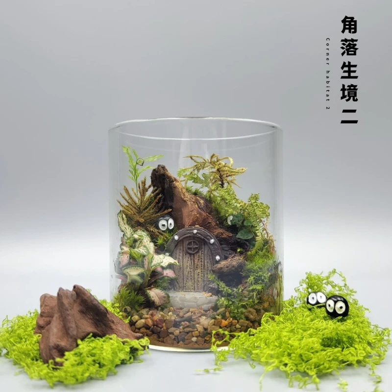 角落生境苔藓微景观摆件宫崎骏动漫趣味懒人植物创意桌面节日礼物