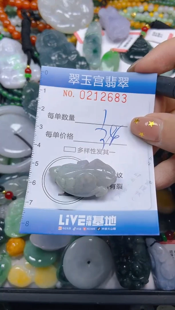 颈饰未镶嵌翡翠闪购C0212683