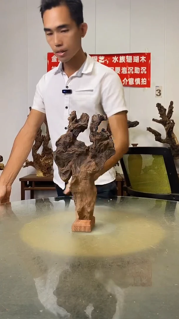 香榧木听*金丝红木   羊蹄甲