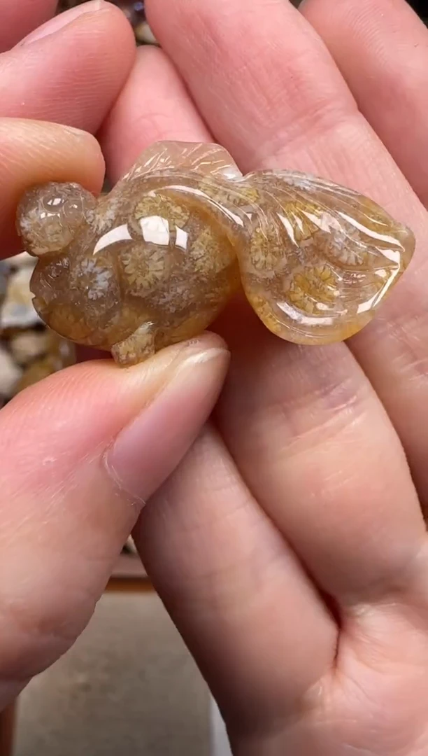 硅化珊瑚（珊瑚玉）未镶嵌颈饰806