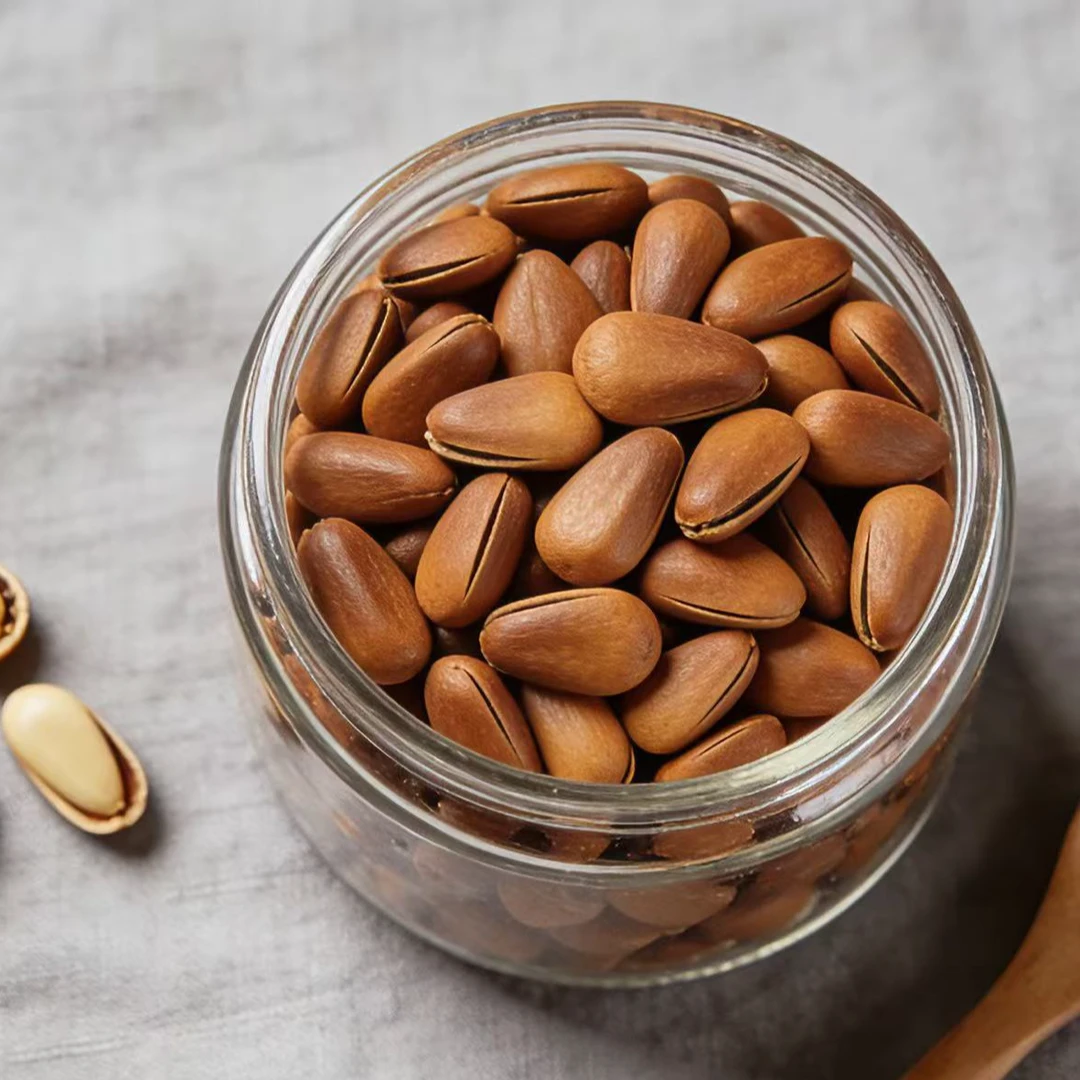 松子罐子装颗粒净重一斤装开口原味松子坚果炒货零食干果休闲果干