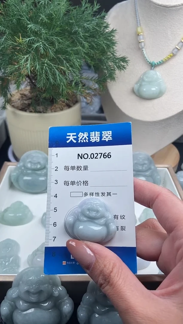 颈饰未镶嵌翡翠纯天然A货翡翠2766