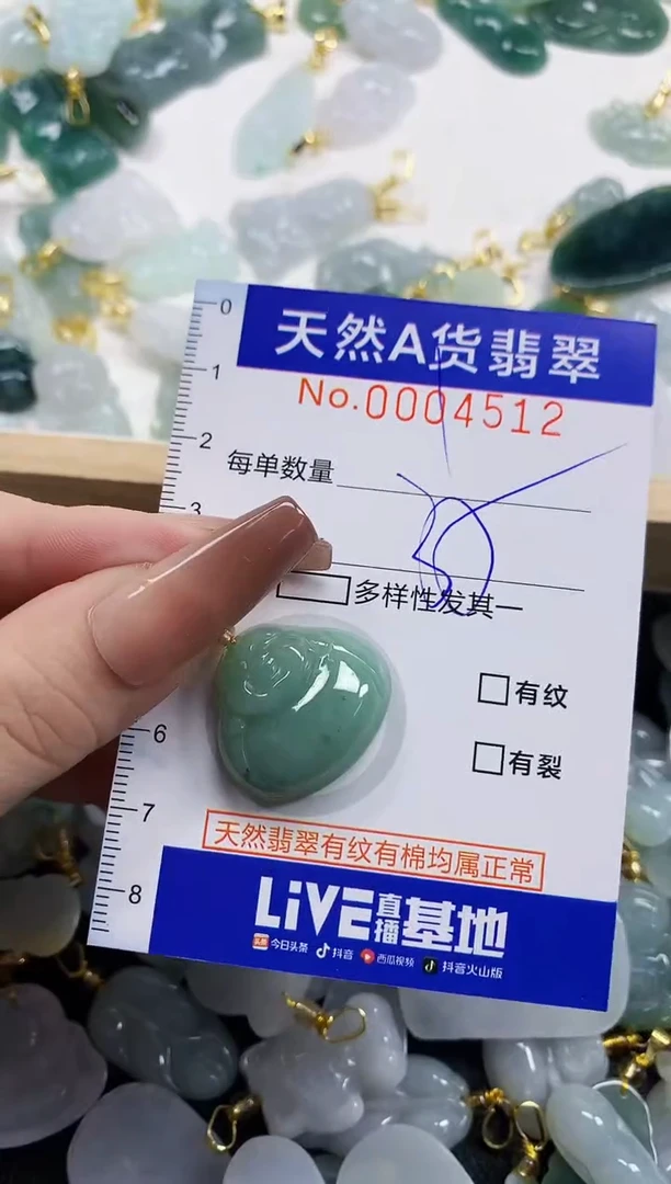 颈饰未镶嵌翡翠天然A货翡翠