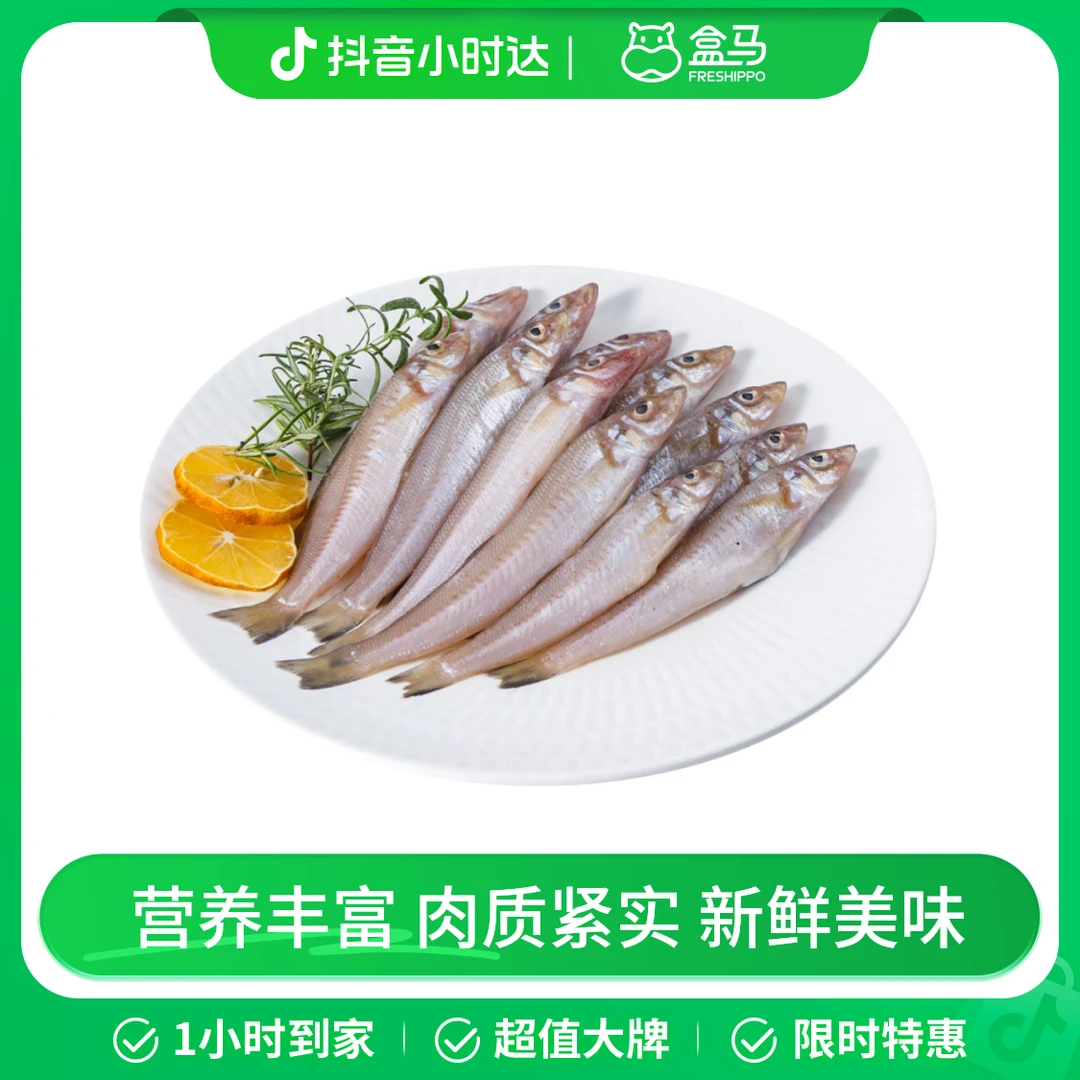 【开海季】冰鲜海捕沙尖鱼 300g/盒 (6-15只)