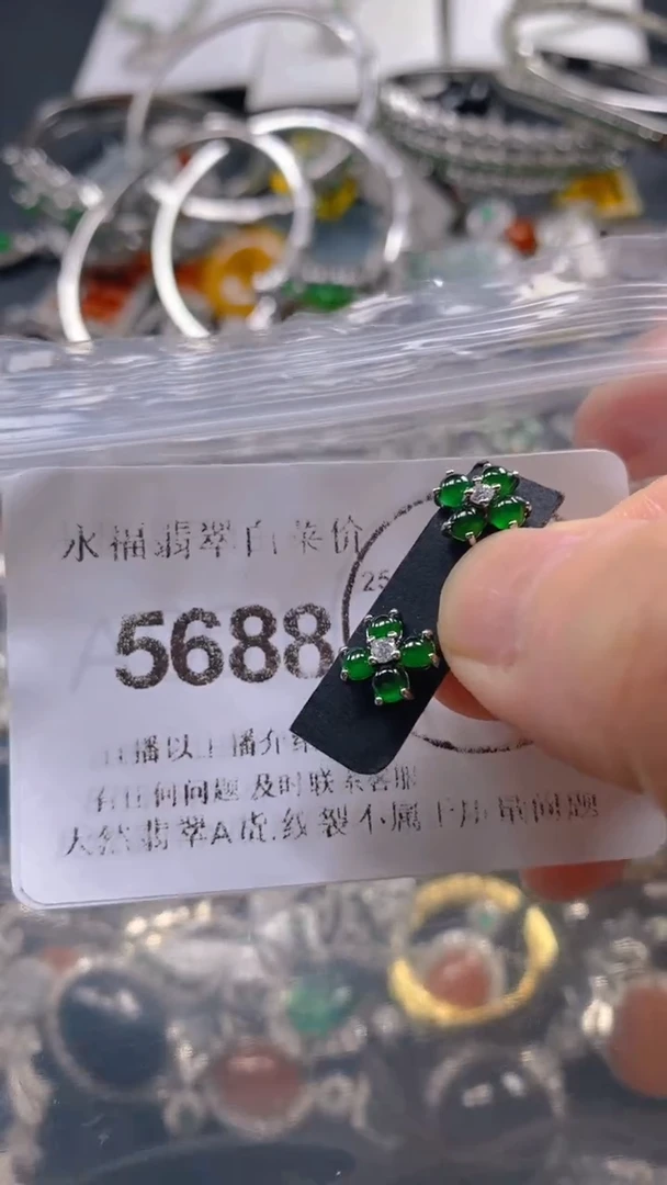 翡翠未镶嵌吊坠(不含链)5688