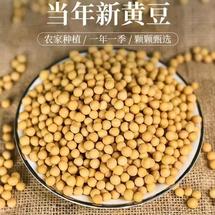 黑龙江伊春 黑土地黄豆2500g