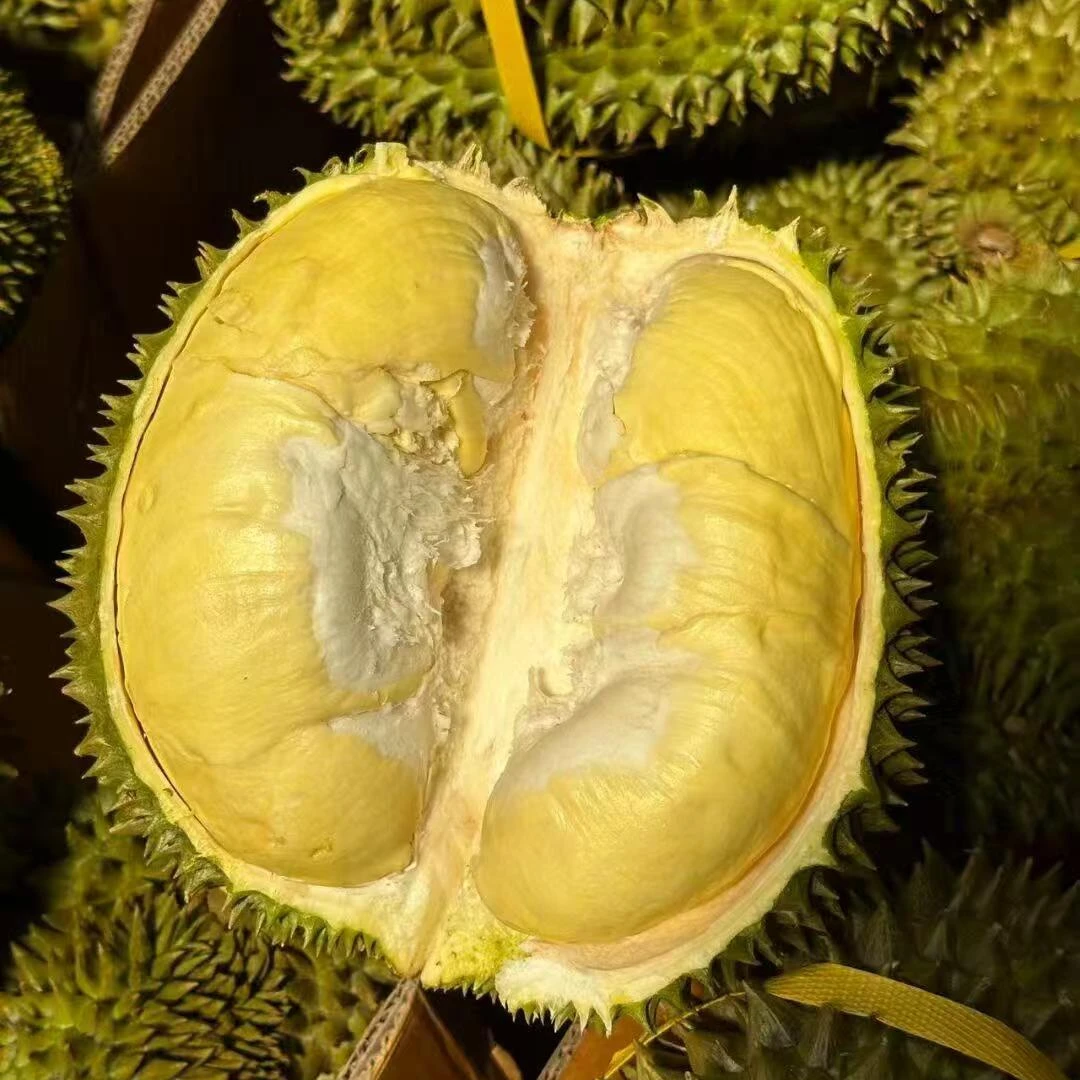 【榴莲小时达】泰国进口树熟金枕鲜榴莲巴掌榴莲鲜果2-8斤核小榴莲同城送金枕泰国