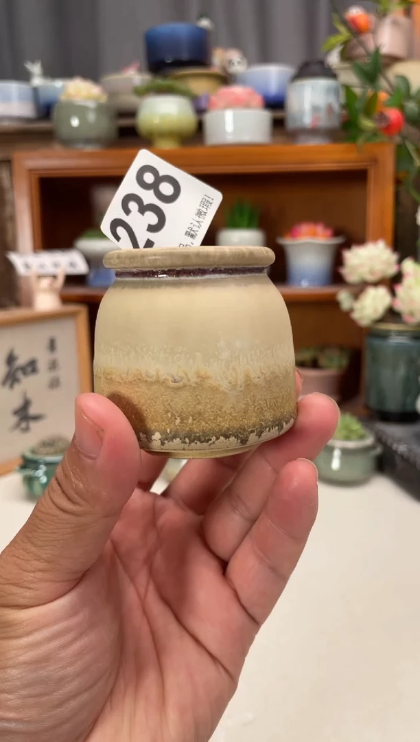 瓷片238知木小芳花盆