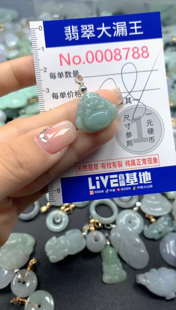 颈饰未镶嵌翡翠8788